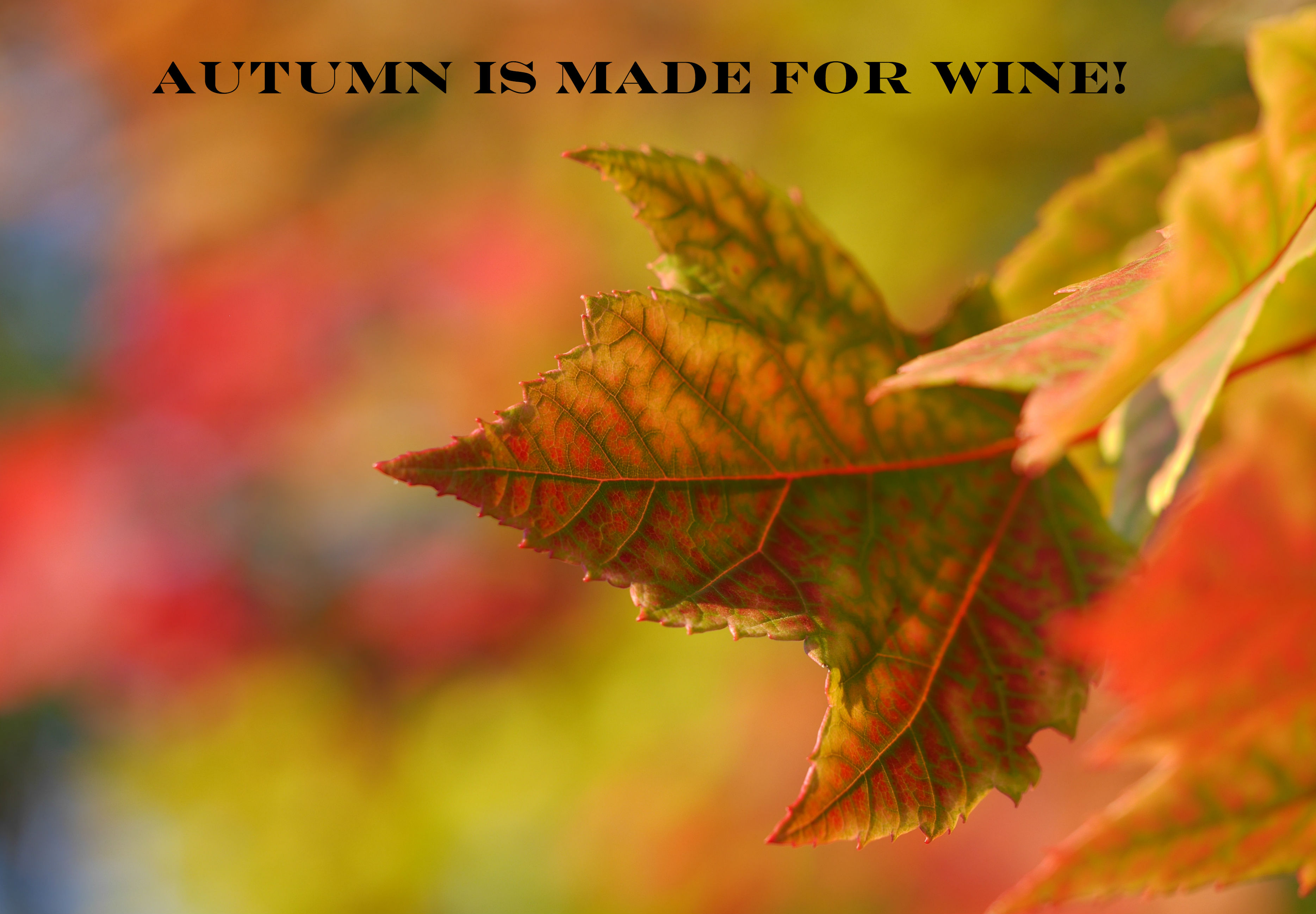 Fall Wine Events In Clinton County, Illinois